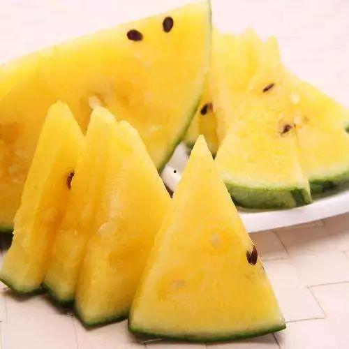 黑网料吃瓜网地址免费看全部视频,免费畅享海量视频的神秘之地